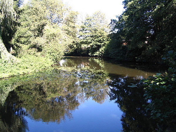 ma-campagne-bretonne-0152.JPG