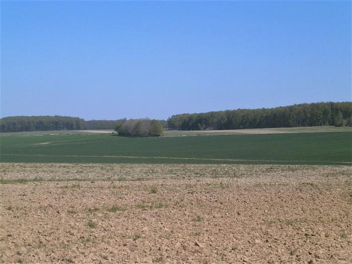 Département de l'Indre et Loire