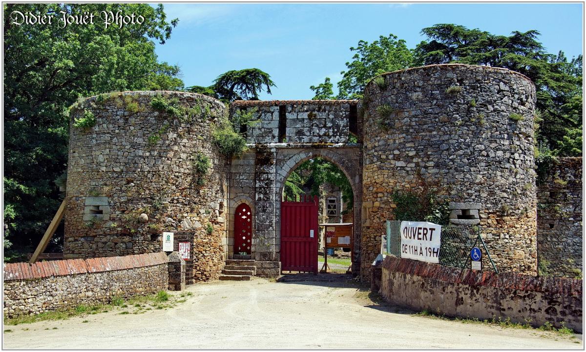 (85) Les Essarts (3) - Château Renaissance... en ruines