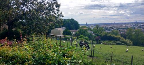 CR / MARCHE 10 /  FLOIRAC DRAVEMONT