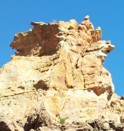 La Page de Marsouin3