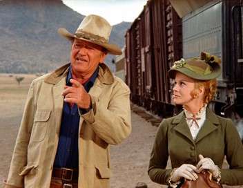 LES VOLEURS DE TRAINS