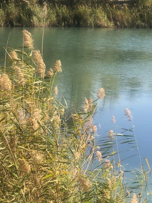 Autour de Manosque (04)