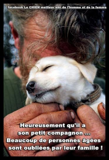La mort du chien
