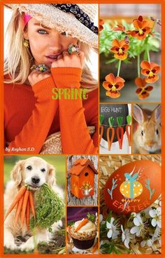 Joyeux Anniversaire ... 69