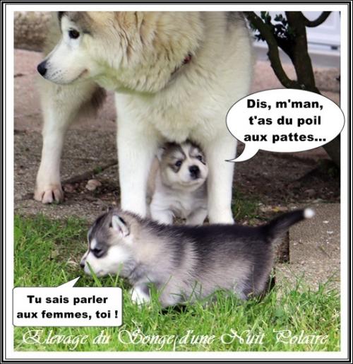 Portée de Lakmé (23 mars 2021)