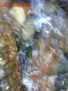 La page de Ludovic Demaret