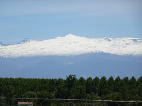 Grenade, L'Albaicín