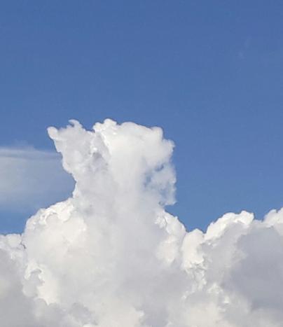 Yves P.‏ - les émanants