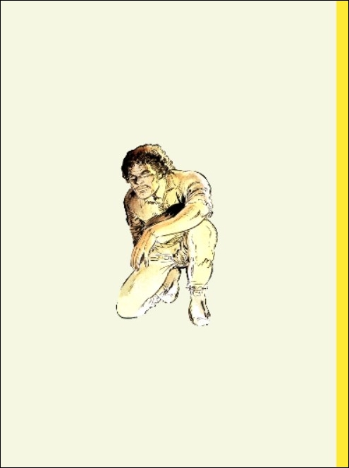 Anaël aux yeux d'or - Version couleurs intégrale