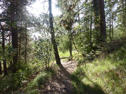 Lac Saint Apollinaire (05)