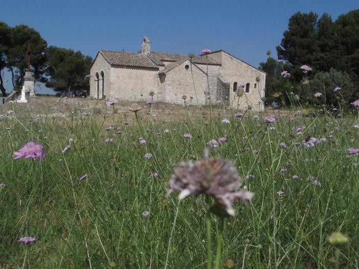 Département du Vaucluse