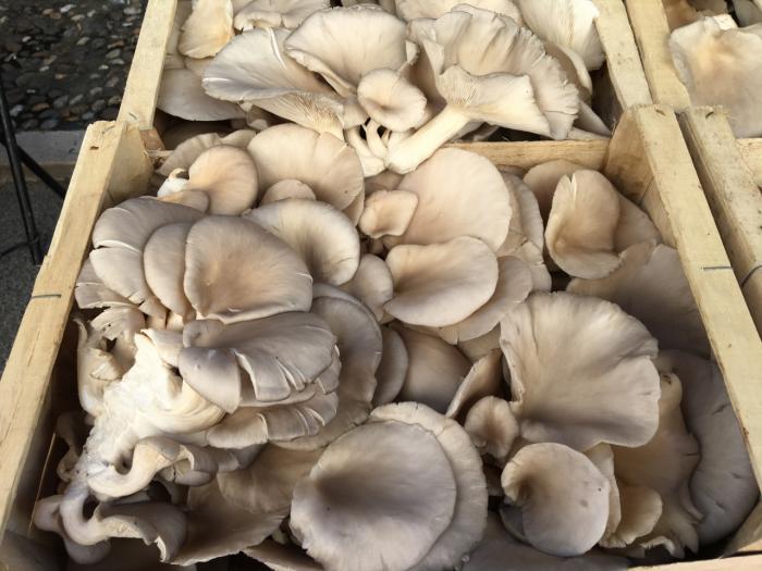 Légumes du mois de Novembre