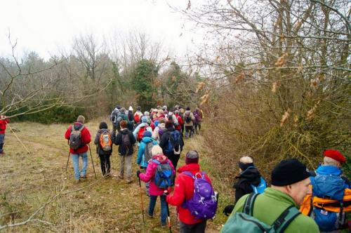 "Combe à La Serpent" - Mercredi 27 janvier 2016