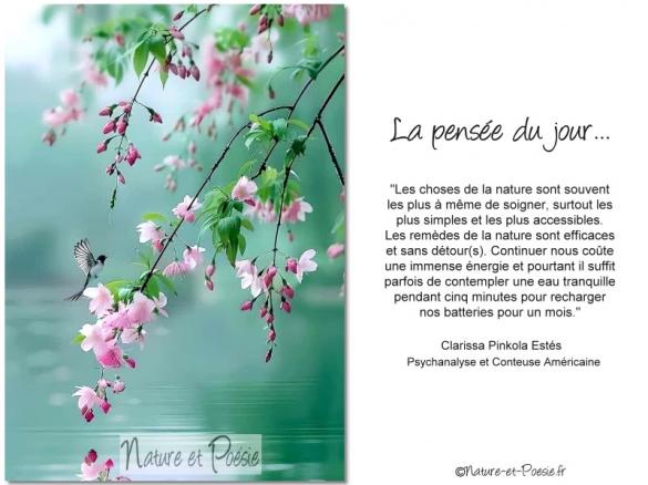 La pensée du jour (131)