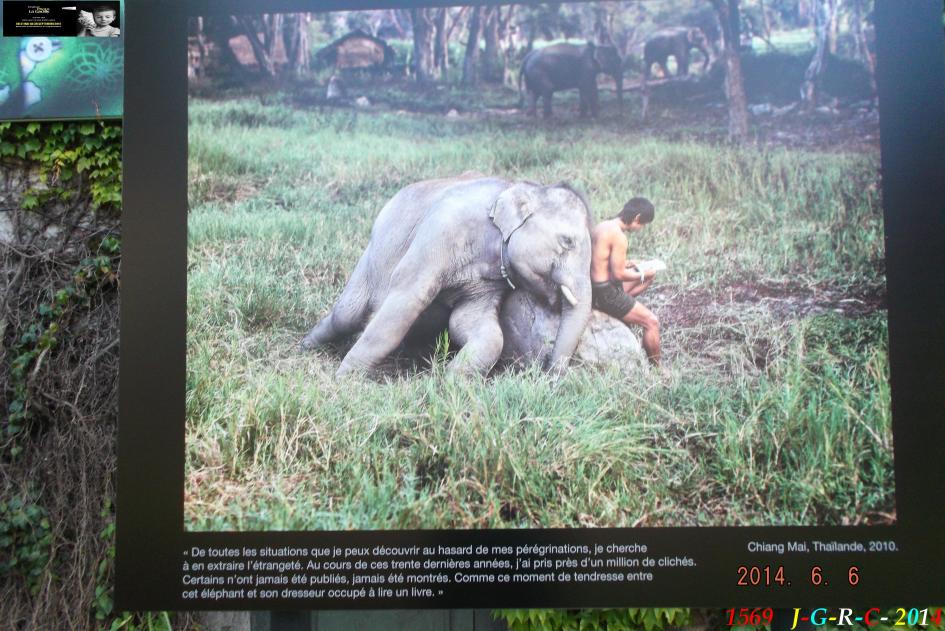  EXPOSITION PHOTO 2014  LA  GACILLY  56    17/06/2014      