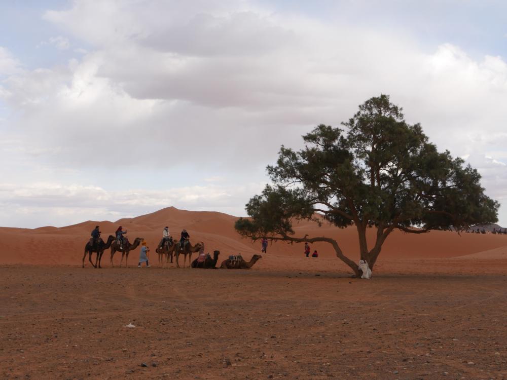 Les dunes de Merzouga