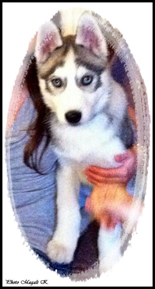 Damon (4 mois)