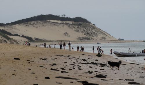 La Dune du Pyla, vue du bas...