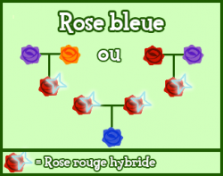 New! Les plantes et hybrides. :D