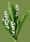 Fée du Muguet