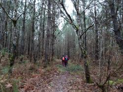CR / RANDO 15 / ST-MEDARD-EN-JALLES