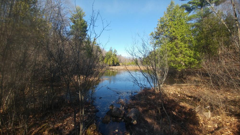 Quarantine Days 2021 in Gatineau: April 8th 2021