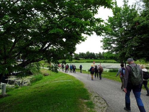 RANDO 15 / JOURNEE RSB - le 29 mai - Halte nautique de FONTET