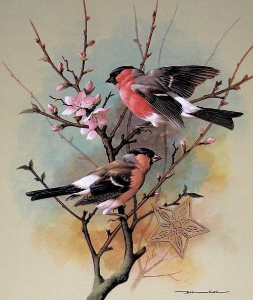 oiseaux en peinture (suite)