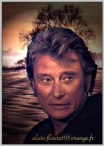 Fond ecran johnny hallyday004