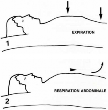 Kit-Respiration