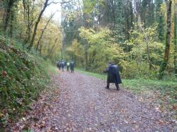 La randonnée du 13 novembre "TSN" de Thury-Harcourt au Vey