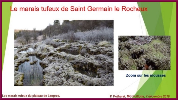 "Les marais tufeux du Plateau de Langres", une conférence proposée par la Société Mycologique du Châtillonnais