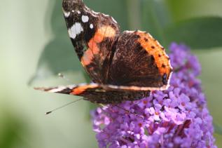 Canal Nantes Brest 038