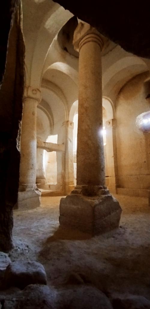 Allons cueillir la Rose !