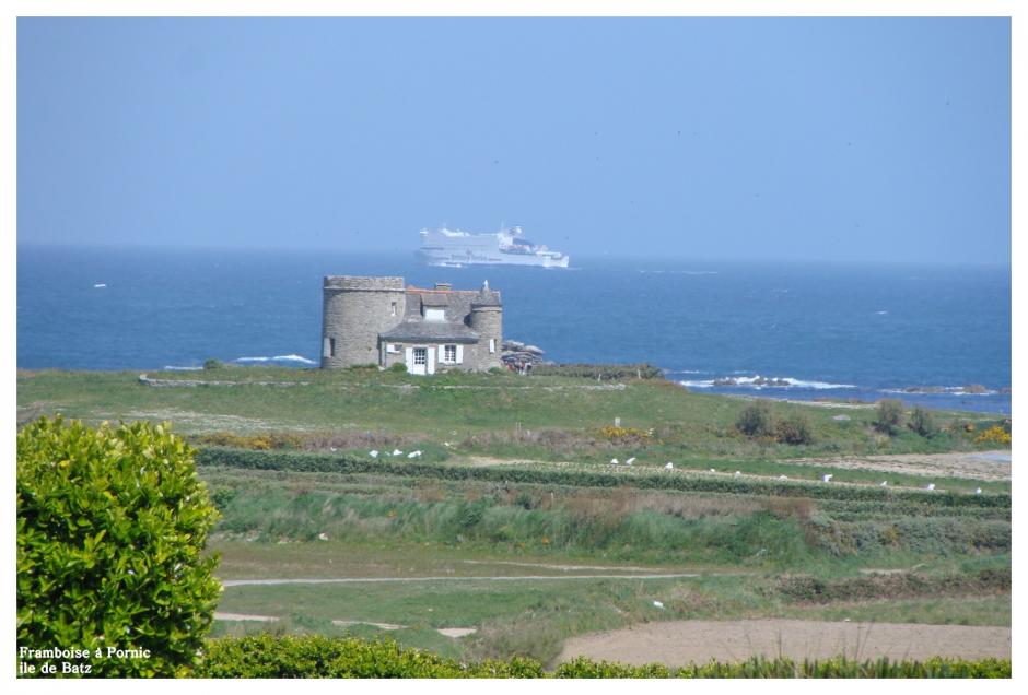 Ile de Batz Finistère nord - enez vaz -