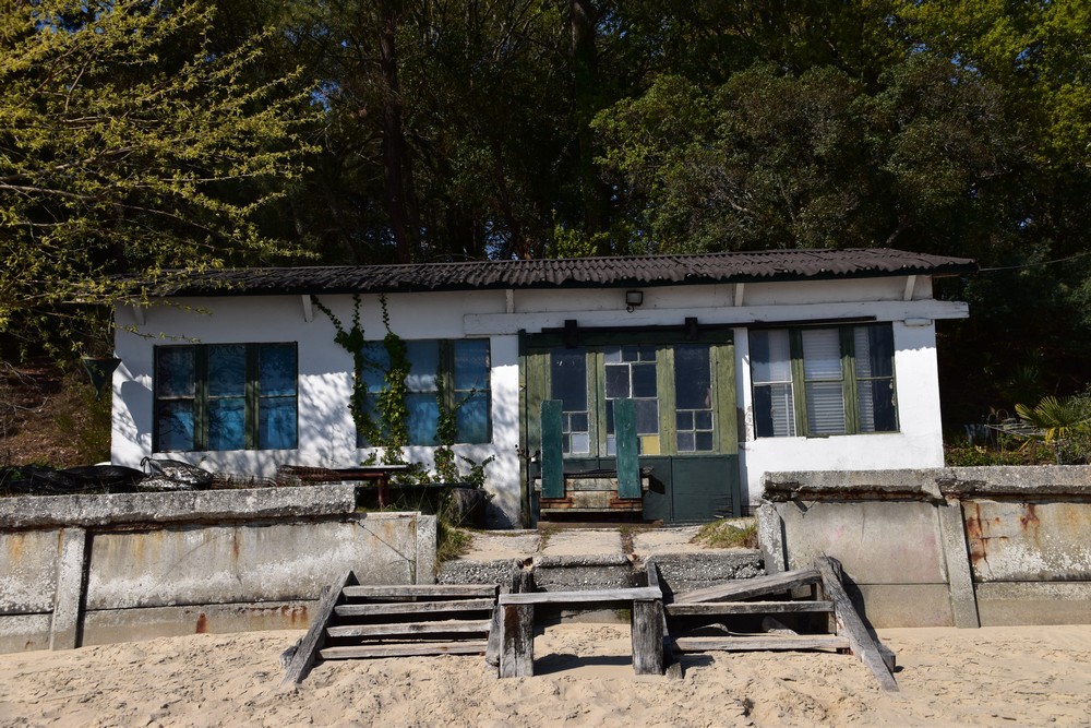 La petite cabane verte de Jane de Boy...