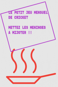 Le petit jeu mensuel de Cricket...