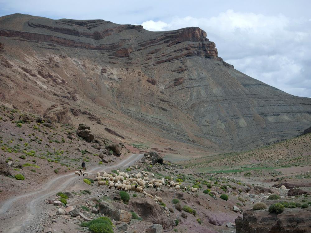 M'Semrir - Agoudal