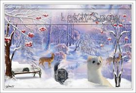 En hiver