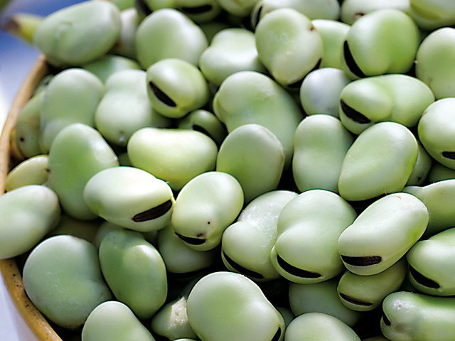 Légumes du mois d'Avril