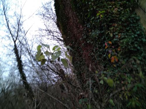 Maison rustique : d'eau et de chasse