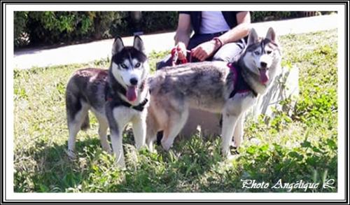 Jeska (3 ans)