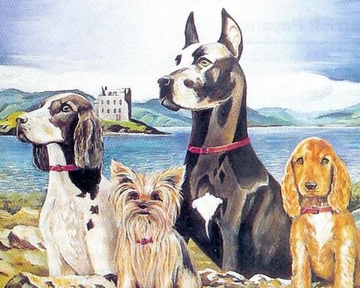 vraie vie de chien ...