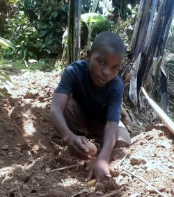 bilan septembre d aristide