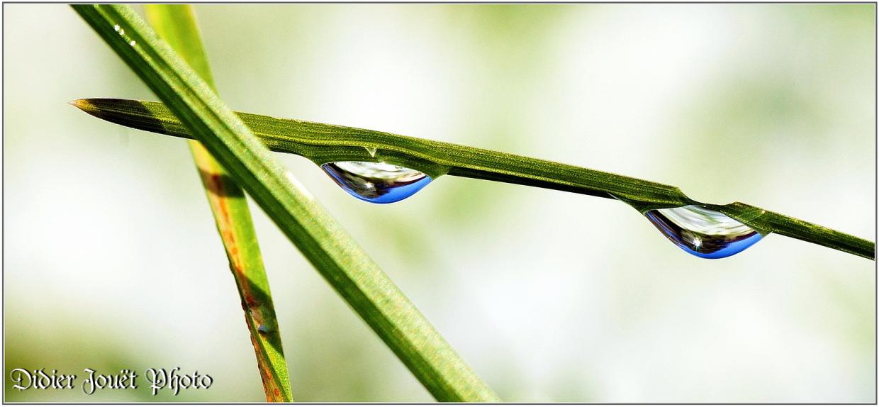 Goutte d'eau (6)