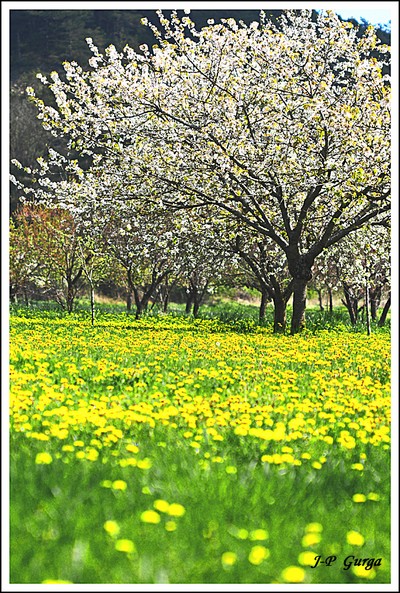 Paysages Châtillonnais par Jean-Pierre Gurga...