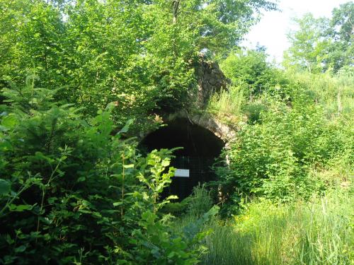 "Séjour dans Les Vosges" - 6 au 13 juin 2015