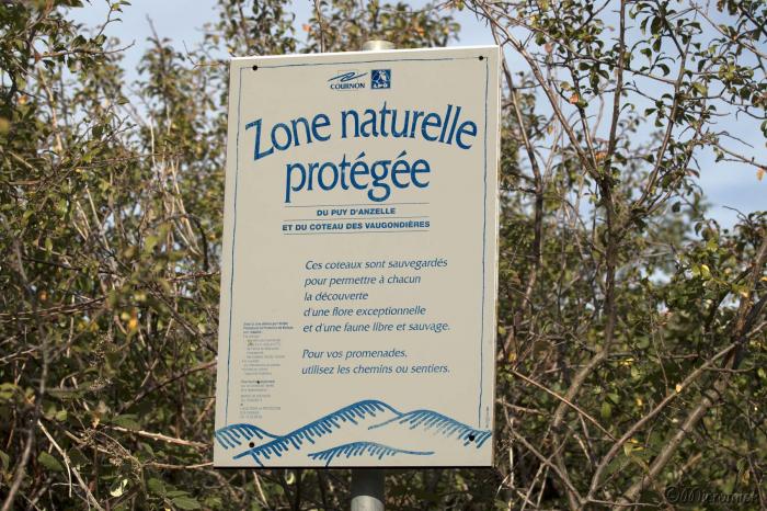 Balade sur le Puy d'Anzelle