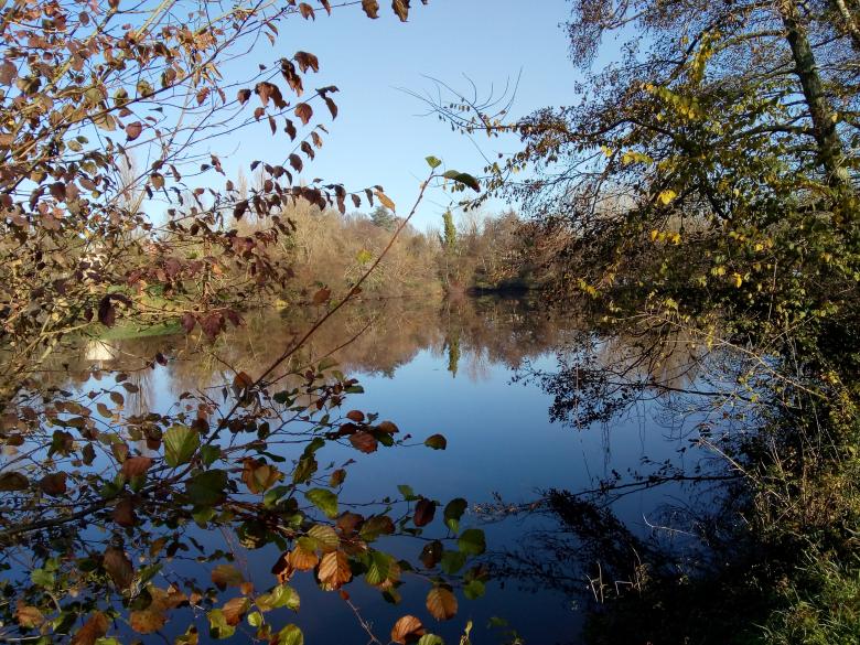 promenade au grand air ce dimanche